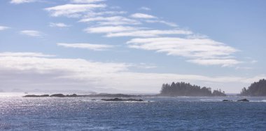 Rugged Rocks on a rocky shore on the West Coast of Pacific Ocean. Summer Morning Sky. Ucluelet, Vancouver Island, British Columbia, Canada. Nature Background