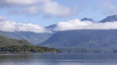 Canadian Nature Landscape with trees and mountains. Sunny Summer morning. Near Tofino and Ucluelet, Vancouver Island, BC, Canada. Background.