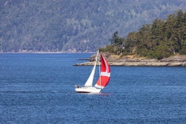 Sailboat in Canadian Landscape by the ocean and mountains. Summer Season. Gulf Islands near Vancouver Island, British Columbia, Canada. Canadian Landscape.