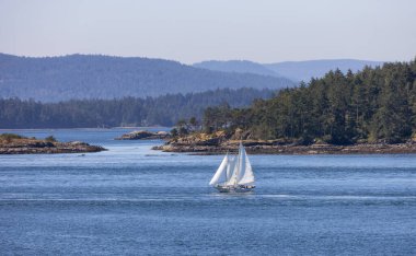 Sailboat in Canadian Landscape by the ocean and mountains. Summer Season. Gulf Islands near Vancouver Island, British Columbia, Canada. Canadian Landscape.