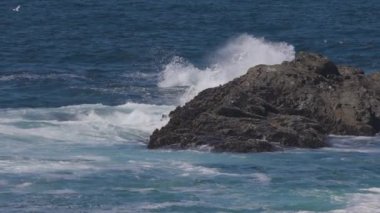 Rugged Rocks on a rocky shore on the West Coast of Pacific Ocean. Summer Morning Sky. Ucluelet, Vancouver Island, British Columbia, Canada. Nature Background. Slow Motion