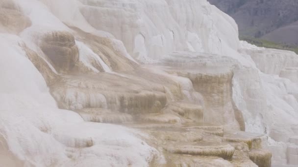 Гарячий Весняний Ландшафт Колоритними Формаціями Mammoth Hot Springs Yellowstone National — стокове відео