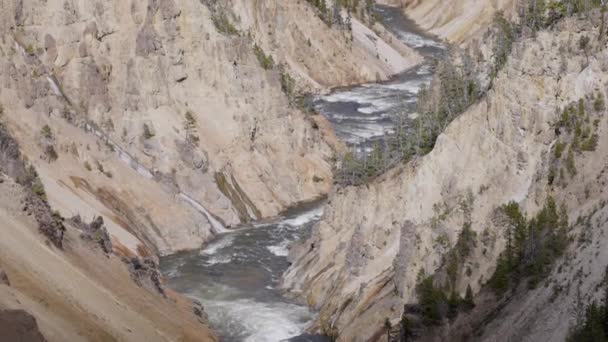 Rocky Canyon River American Landscape Grand Canyon Yellowstone Yellowstone National — Wideo stockowe