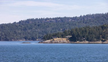 Canadian Landscape by the ocean and mountains. Summer Season. Gulf Islands near Vancouver Island, British Columbia, Canada. Canadian Landscape.