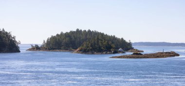 Canadian Landscape by the ocean and mountains. Summer Season. Gulf Islands near Vancouver Island, British Columbia, Canada. Canadian Landscape.
