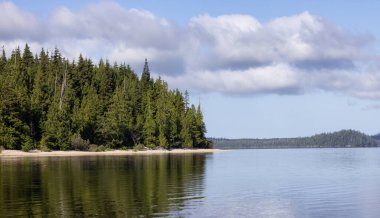 Canadian Nature Landscape with trees and mountains. Sunny Summer morning. Near Tofino and Ucluelet, Vancouver Island, BC, Canada. Background.
