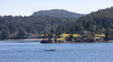 Canadian Landscape by the ocean and mountains. Summer Season. Gulf Islands near Vancouver Island, British Columbia, Canada. Canadian Landscape.
