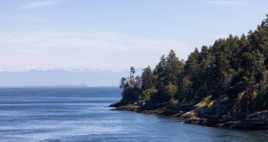 Canadian Landscape by the ocean and mountains. Summer Season. Gulf Islands near Vancouver Island, British Columbia, Canada. Canadian Landscape.