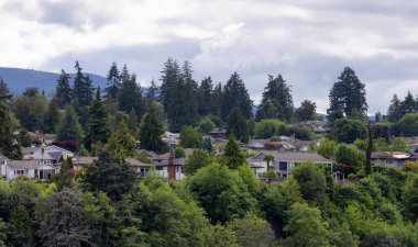 Homes by the water, surrounded by tees and mountains. Summer Season. Nanaimo, Vancouver Island, British Columbia, Canada. City Background.
