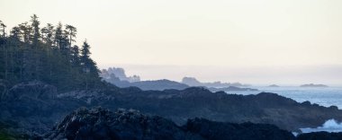 Rugged Rocks on a rocky shore on the West Coast of Pacific Ocean. Summer sunrise. Ucluelet, Vancouver Island, British Columbia, Canada. Nature Background