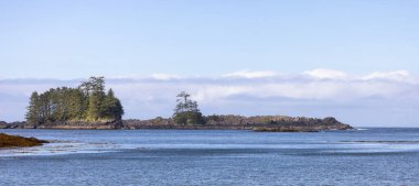 Rugged Rocks on a rocky shore on the West Coast of Pacific Ocean. Summer Morning Sky. Ucluelet, Vancouver Island, British Columbia, Canada. Nature Background
