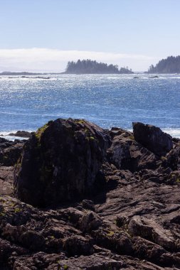 Rugged Rocks on a rocky shore on the West Coast of Pacific Ocean. Summer Morning Sky. Ucluelet, Vancouver Island, British Columbia, Canada. Nature Background