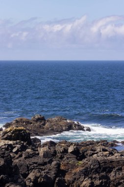 Rugged Rocks on a rocky shore on the West Coast of Pacific Ocean. Summer Morning Sky. Ucluelet, Vancouver Island, British Columbia, Canada. Nature Background