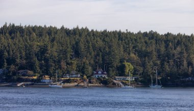 Canadian Landscape by the ocean and mountains. Summer Season. Gulf Islands near Vancouver Island, British Columbia, Canada. Canadian Landscape.