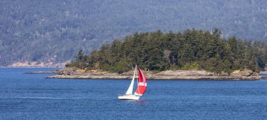 Sailboat in Canadian Landscape by the ocean and mountains. Summer Season. Gulf Islands near Vancouver Island, British Columbia, Canada. Canadian Landscape.