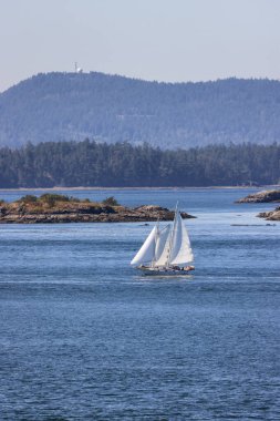 Sailboat in Canadian Landscape by the ocean and mountains. Summer Season. Gulf Islands near Vancouver Island, British Columbia, Canada. Canadian Landscape.