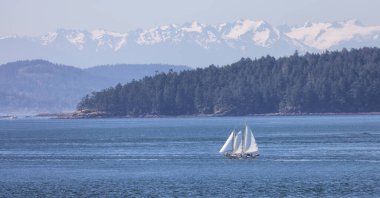 Sailboat in Canadian Landscape by the ocean and mountains. Summer Season. Gulf Islands near Vancouver Island, British Columbia, Canada. Canadian Landscape.