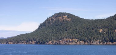 Canadian Landscape by the ocean and mountains. Summer Season. Gulf Islands near Vancouver Island, British Columbia, Canada. Canadian Landscape.