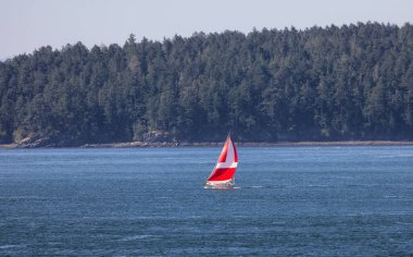 Sailboat in Canadian Landscape by the ocean and mountains. Summer Season. Gulf Islands near Vancouver Island, British Columbia, Canada. Canadian Landscape.