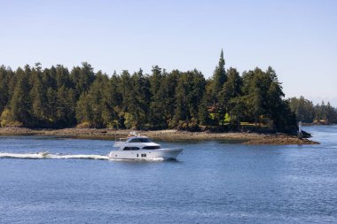 Canadian Landscape by the ocean and mountains. Summer Season. Gulf Islands near Vancouver Island, British Columbia, Canada. Canadian Landscape.