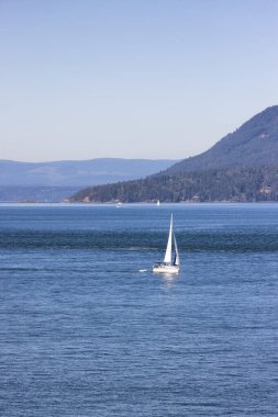 Sailboat in Canadian Landscape by the ocean and mountains. Summer Season. Gulf Islands near Vancouver Island, British Columbia, Canada. Canadian Landscape.