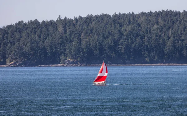 Sailboat in Canadian Landscape by the ocean and mountains. Summer Season. Gulf Islands near Vancouver Island, British Columbia, Canada. Canadian Landscape.