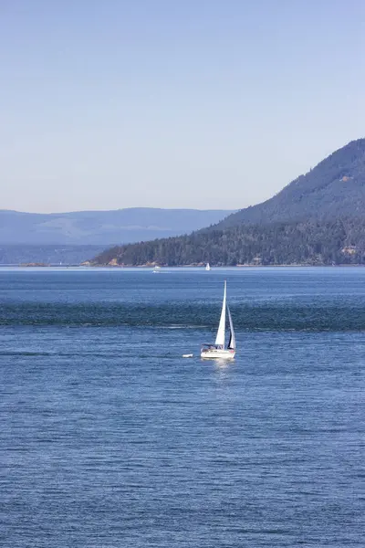 Sailboat in Canadian Landscape by the ocean and mountains. Summer Season. Gulf Islands near Vancouver Island, British Columbia, Canada. Canadian Landscape.