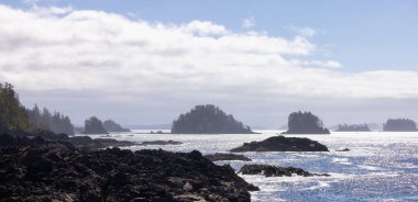 Rugged Rocks on a rocky shore on the West Coast of Pacific Ocean. Summer Morning Sky. Ucluelet, Vancouver Island, British Columbia, Canada. Nature Background