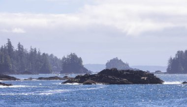 Rugged Rocks on a rocky shore on the West Coast of Pacific Ocean. Summer Morning Sky. Ucluelet, Vancouver Island, British Columbia, Canada. Nature Background