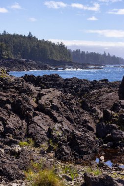 Rugged Rocks on a rocky shore on the West Coast of Pacific Ocean. Summer Morning Sky. Ucluelet, Vancouver Island, British Columbia, Canada. Nature Background