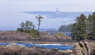 Rugged Rocks on a rocky shore on the West Coast of Pacific Ocean. Summer Morning Sky. Ucluelet, Vancouver Island, British Columbia, Canada. Nature Background