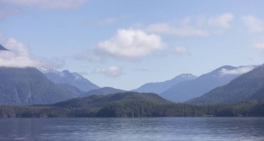 Canadian Nature Landscape with trees and mountains. Sunny Summer morning. Near Tofino and Ucluelet, Vancouver Island, BC, Canada. Background.