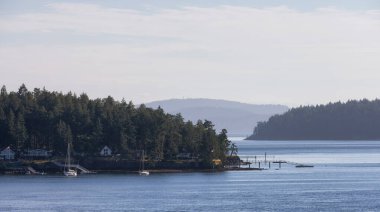 Canadian Landscape by the ocean and mountains. Summer Season. Gulf Islands near Vancouver Island, British Columbia, Canada. Canadian Landscape.