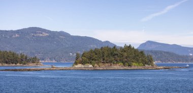 Canadian Landscape by the ocean and mountains. Summer Season. Gulf Islands near Vancouver Island, British Columbia, Canada. Canadian Landscape.