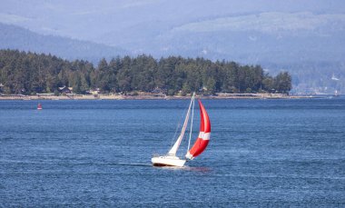 Sailboat in Canadian Landscape by the ocean and mountains. Summer Season. Gulf Islands near Vancouver Island, British Columbia, Canada. Canadian Landscape.
