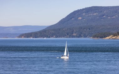 Sailboat in Canadian Landscape by the ocean and mountains. Summer Season. Gulf Islands near Vancouver Island, British Columbia, Canada. Canadian Landscape.