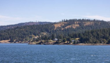 Canadian Landscape by the ocean and mountains. Summer Season. Gulf Islands near Vancouver Island, British Columbia, Canada. Canadian Landscape.