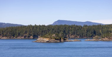 Canadian Landscape by the ocean and mountains. Summer Season. Gulf Islands near Vancouver Island, British Columbia, Canada. Canadian Landscape.