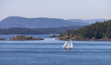 Sailboat in Canadian Landscape by the ocean and mountains. Summer Season. Gulf Islands near Vancouver Island, British Columbia, Canada. Canadian Landscape.