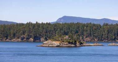 Canadian Landscape by the ocean and mountains. Summer Season. Gulf Islands near Vancouver Island, British Columbia, Canada. Canadian Landscape.