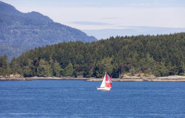 Sailboat in Canadian Landscape by the ocean and mountains. Summer Season. Gulf Islands near Vancouver Island, British Columbia, Canada. Canadian Landscape.