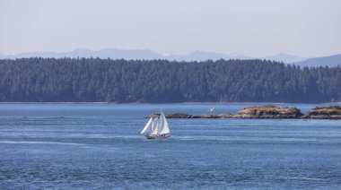 Sailboat in Canadian Landscape by the ocean and mountains. Summer Season. Gulf Islands near Vancouver Island, British Columbia, Canada. Canadian Landscape.