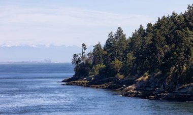 Canadian Landscape by the ocean and mountains. Summer Season. Gulf Islands near Vancouver Island, British Columbia, Canada. Canadian Landscape.