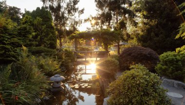 Japanese Garden in Esquimalt Gorge Park, Victoria, Vancouver Island, British Columbia, Canada. Sunny Summer Sunset.