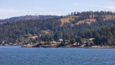 Canadian Landscape by the ocean and mountains. Summer Season. Gulf Islands near Vancouver Island, British Columbia, Canada. Canadian Landscape.