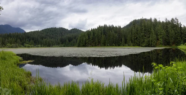 Panoramic View Lake Canadian Nature Landscape Minnekhada Regional Park Coquitlam — Foto Stock