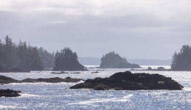 Rugged Rocks on a rocky shore on the West Coast of Pacific Ocean. Summer Morning Sky. Ucluelet, Vancouver Island, British Columbia, Canada. Nature Background