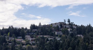 Homes on a Hill surrounded by Trees near waterfront. Summer Season. Nanaimo, Vancouver Island, British Columbia, Canada. City Background.