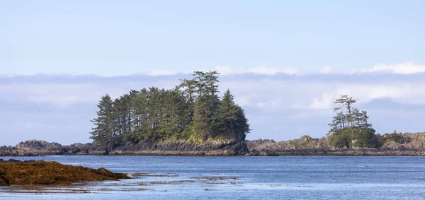 Rugged Rocks Rocky Shore West Coast Pacific Ocean Summer Morning — Stockfoto