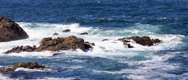 Rugged Rocks Rocky Shore West Coast Pacific Ocean Summer Morning — Stockfoto